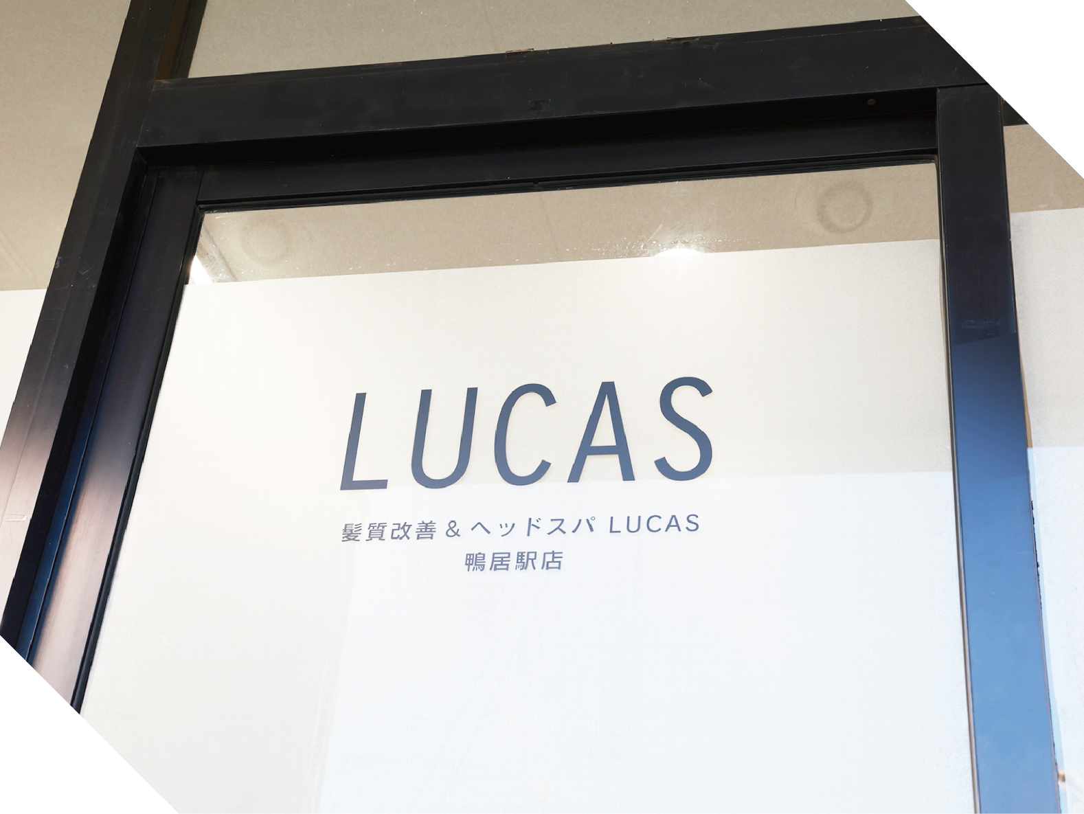 Lucus鴨居